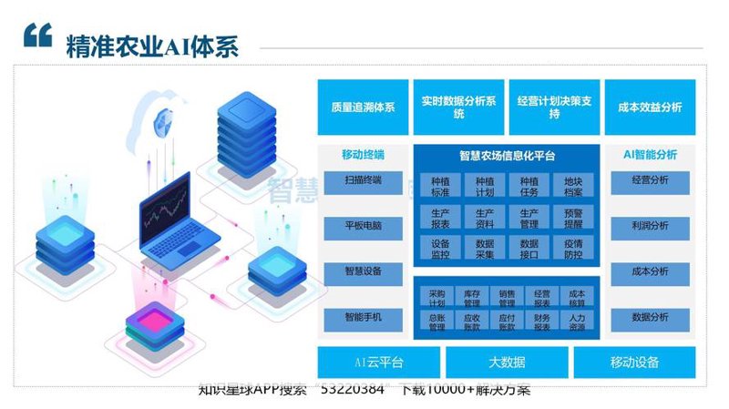 人工智能开发：引领未来的技术风向标